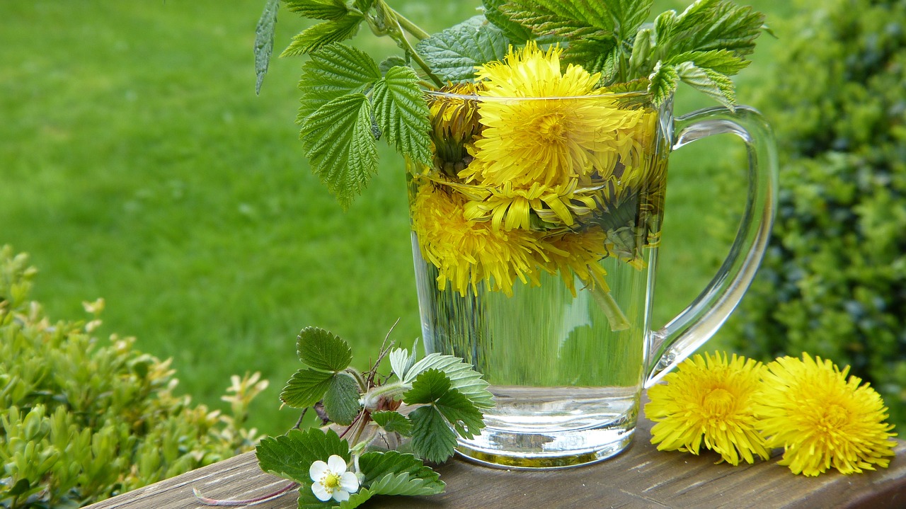 The Impacts of Pesticides on Biodiversity and Health
